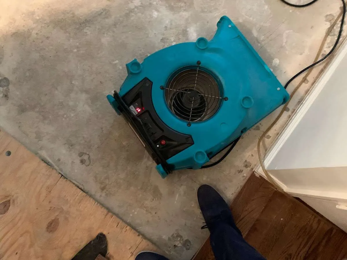 Air mover drying subfloor during Commercial Water Damage Restoration in Milan