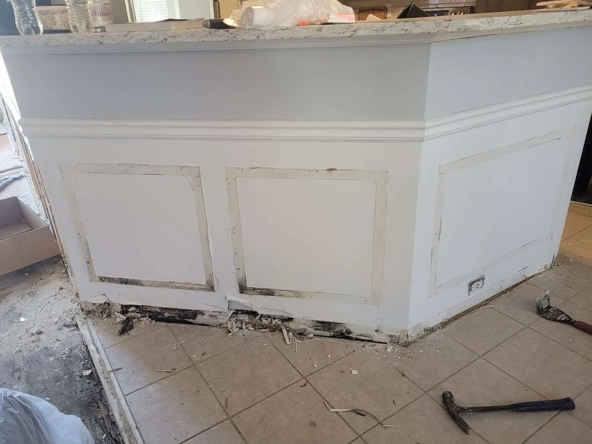 Water damage and mold on kitchen during Mold Inspection & Testing in Milan